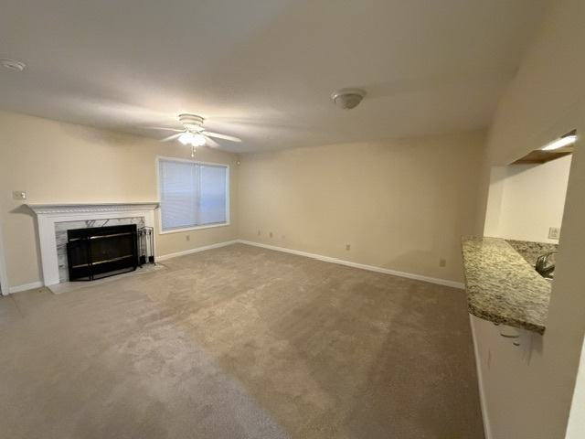 Gallery Photo 2